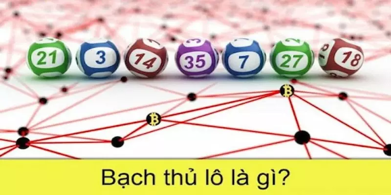 Bạch thủ lô là gì